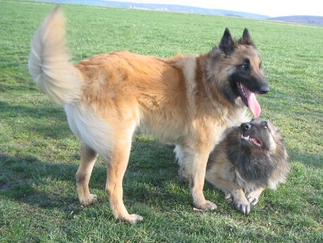 q25.3.2007 520.jpg
