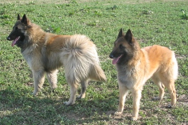 q25.3.2007 525.jpg