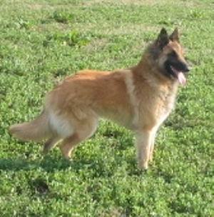 n25.3.2007 529.jpg