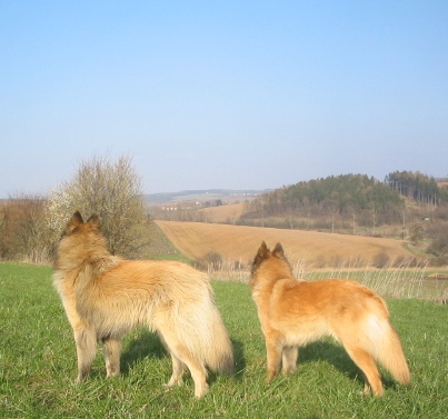q25.3.2007 555.jpg