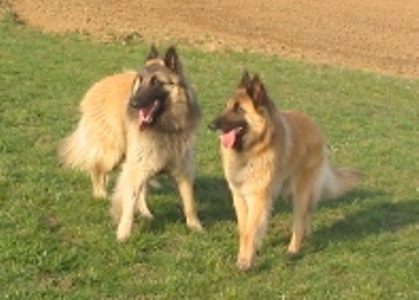 q25.3.2007 610.jpg