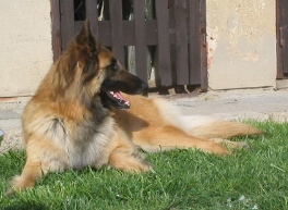 15.4.2007 043.jpg
