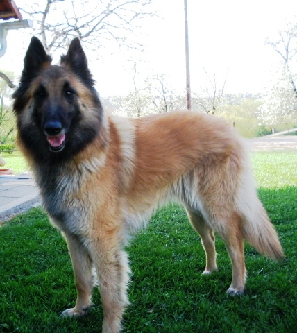 15.4.2007 067.jpg