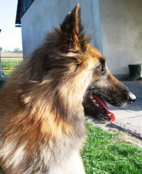 15.4.2007 078.jpg