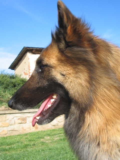 15.4.2007 080.jpg