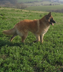 n25.3.2007 530.jpg