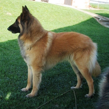 15.4.2007 102.jpg