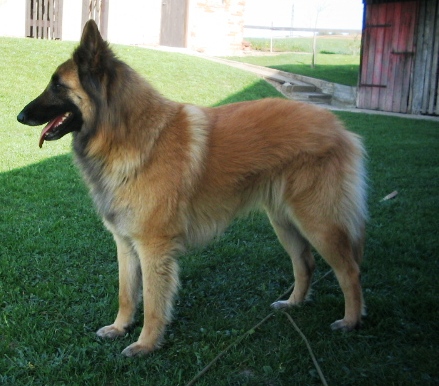 15.4.2007 104.jpg