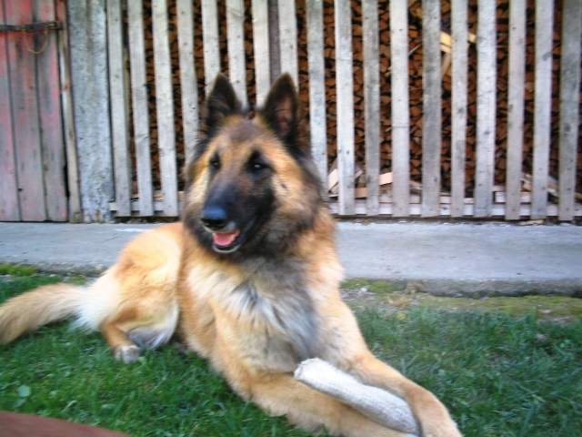 16.4.2007 005.jpg