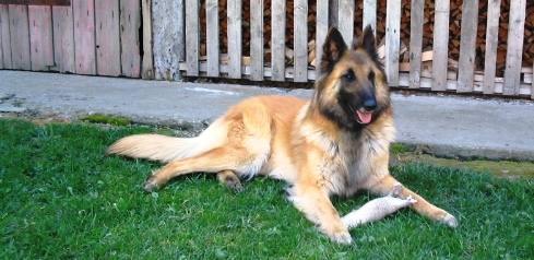 16.4.2007 004.jpg