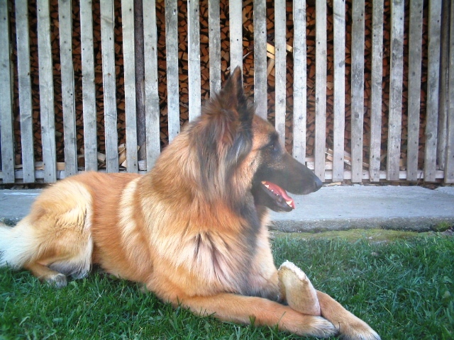 16.4.2007 007.jpg