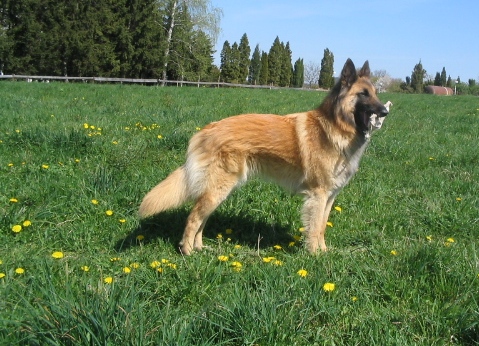 16.4.2007 016.jpg