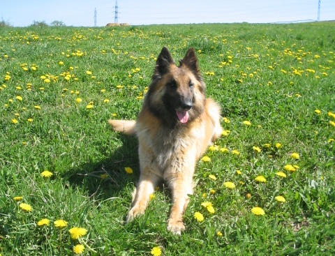 16.4.2007 019.jpg