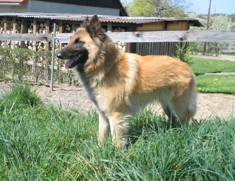 16.4.2007 025.jpg