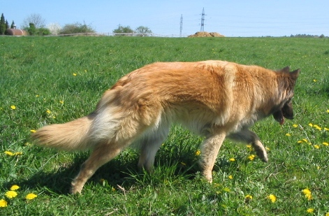 16.4.2007 028.jpg