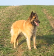 n25.3.2007 605.jpg
