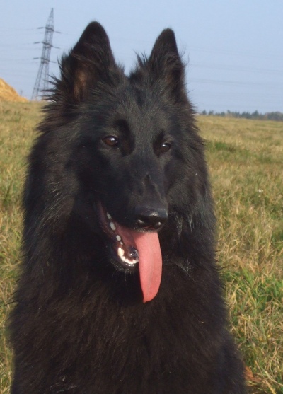 ori26.10.08 030.jpg