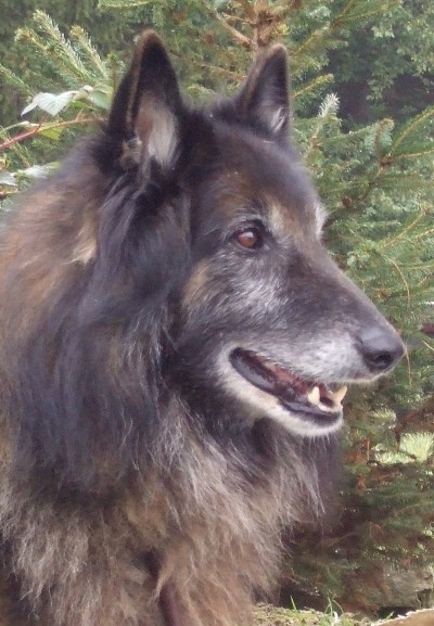 16.9.2008 729.jpg